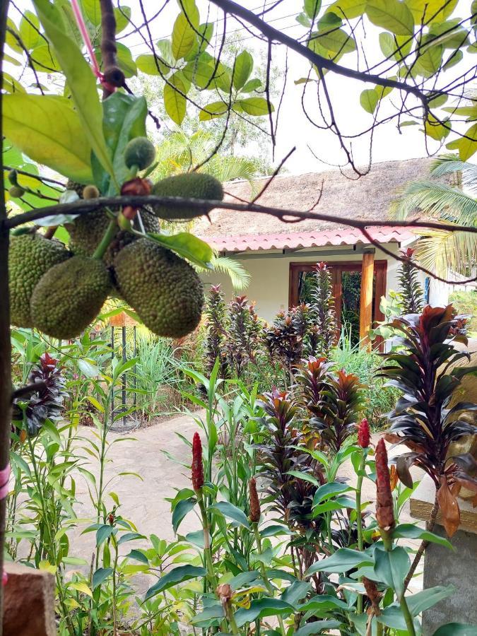 Om Home Sihanoukville Esterno foto